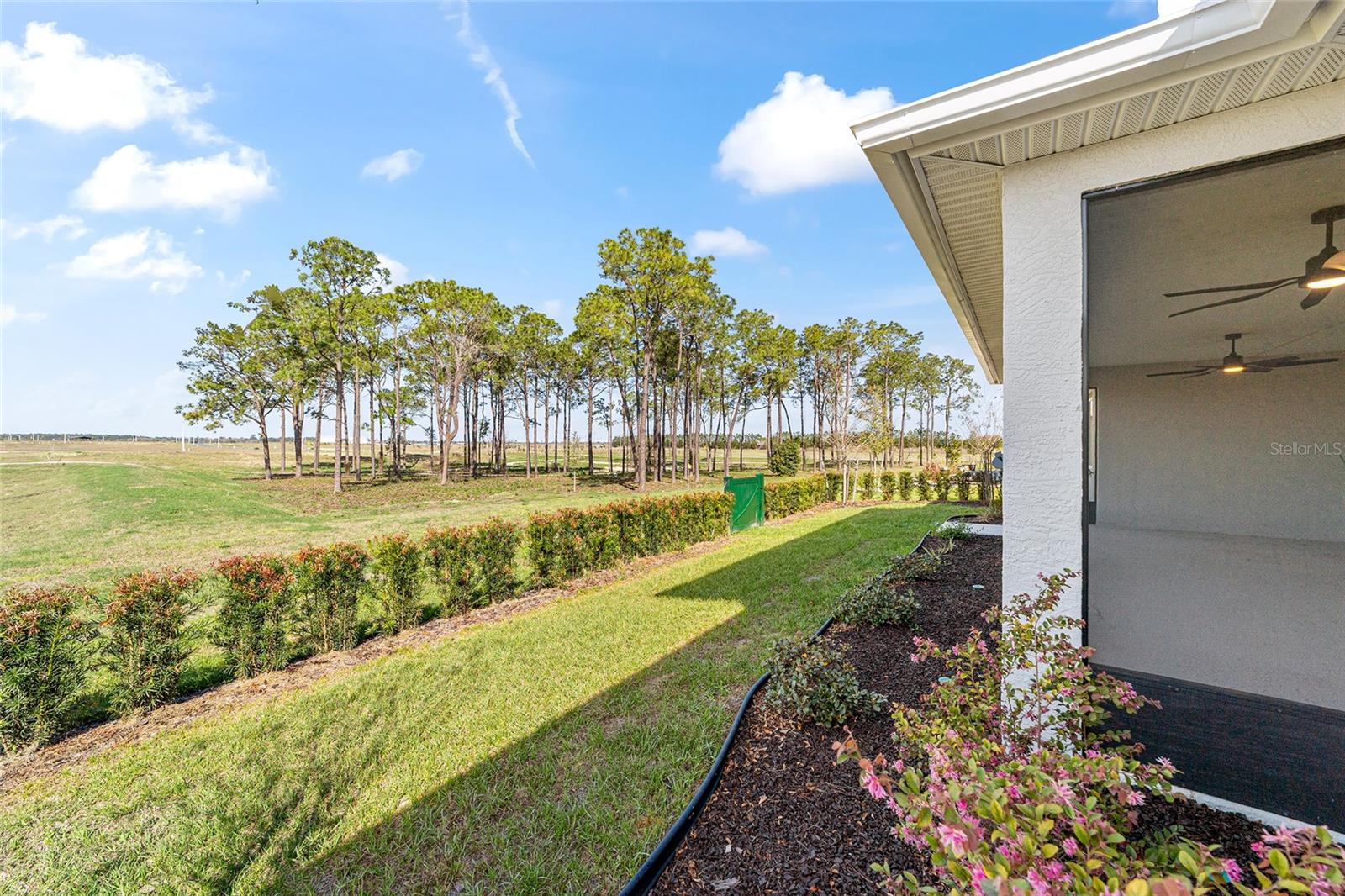 8176 SW 98TH TERRACE RD, OCALA, FL — photo 62