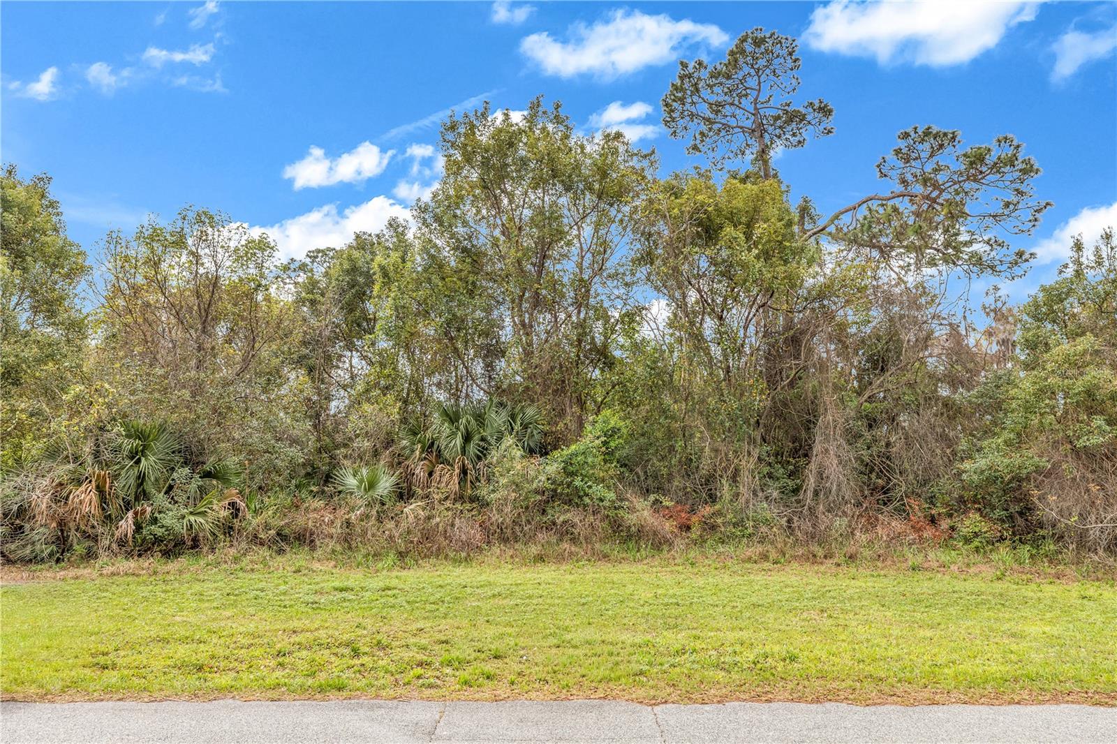 205 PLUMOSA RD, DEBARY, FL — photo 3