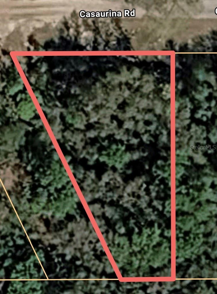 CASAURINA RD, LADY LAKE, FL