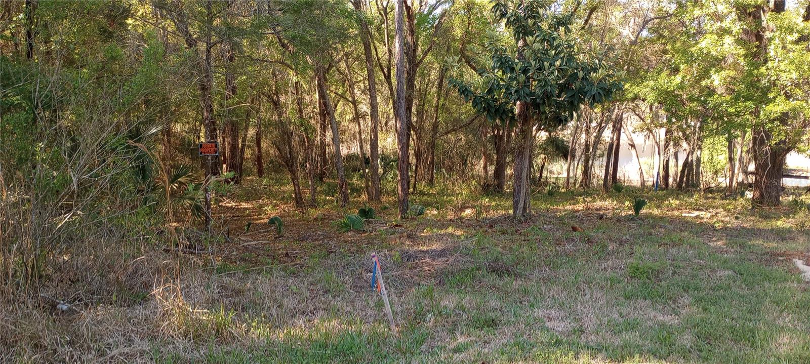 CASAURINA RD, LADY LAKE, FL — photo 3