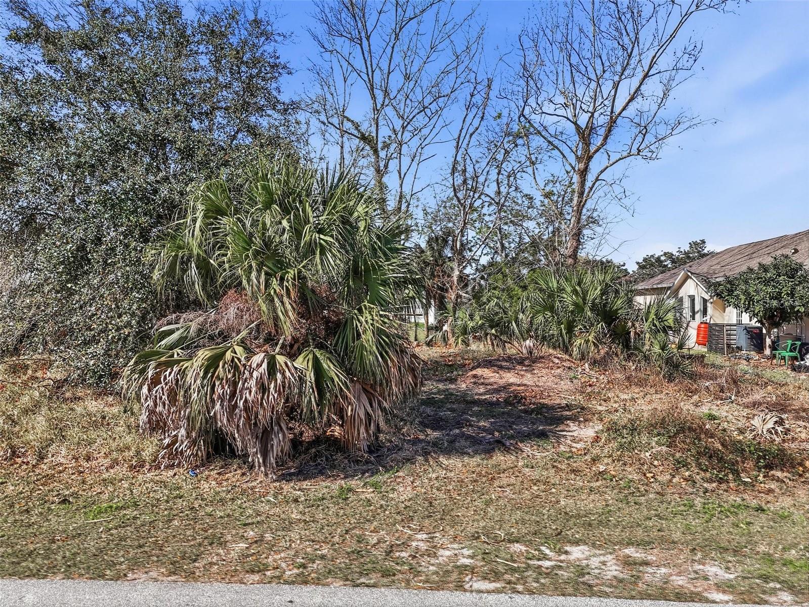 35 CORAL REEF CT N, PALM COAST, FL — photo 11