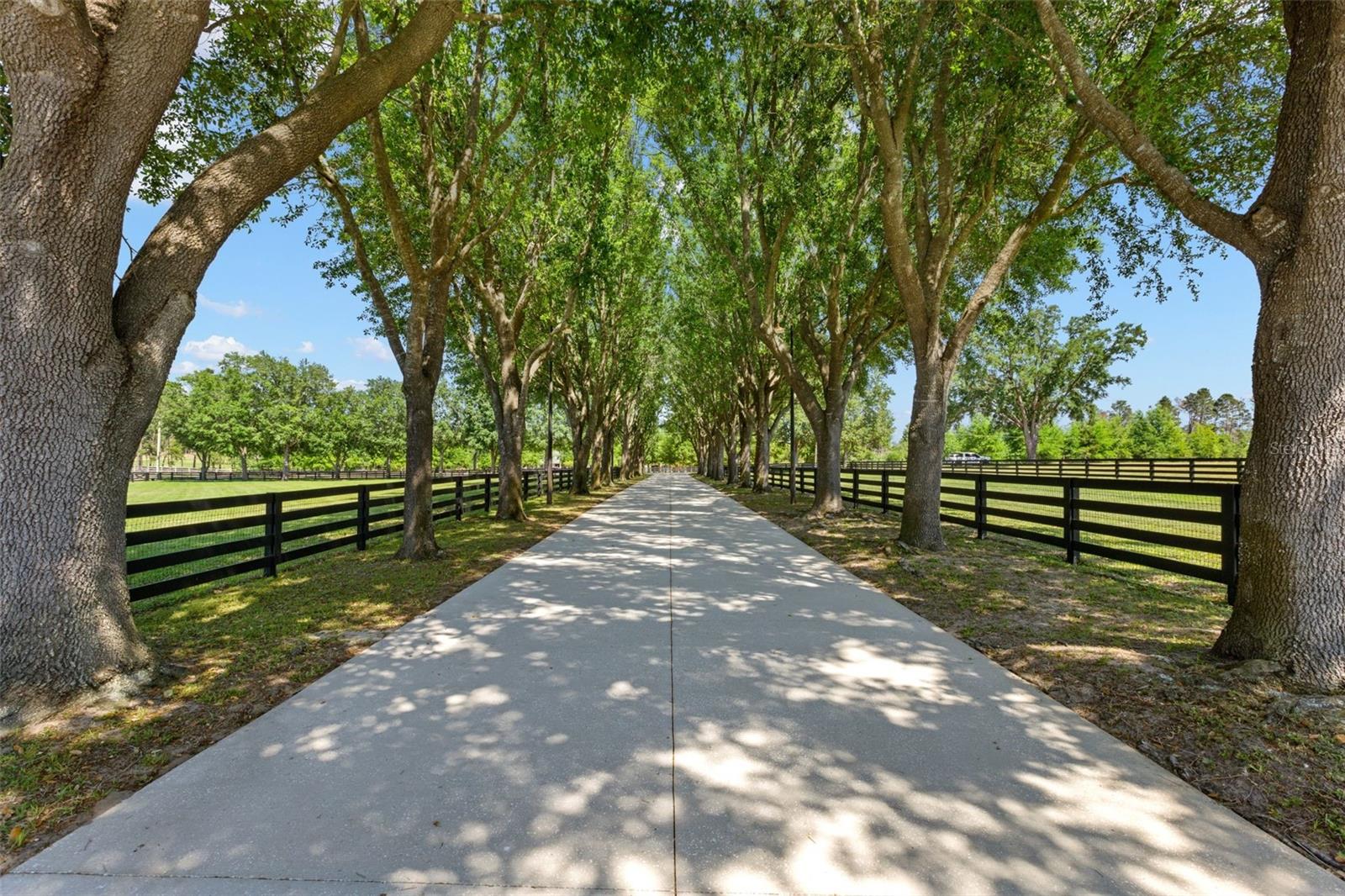 9751 QUIET LN, WINTER GARDEN, FL — photo 4
