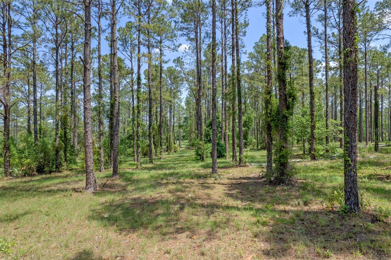 35408 PINEGATE TRL, EUSTIS, FL
