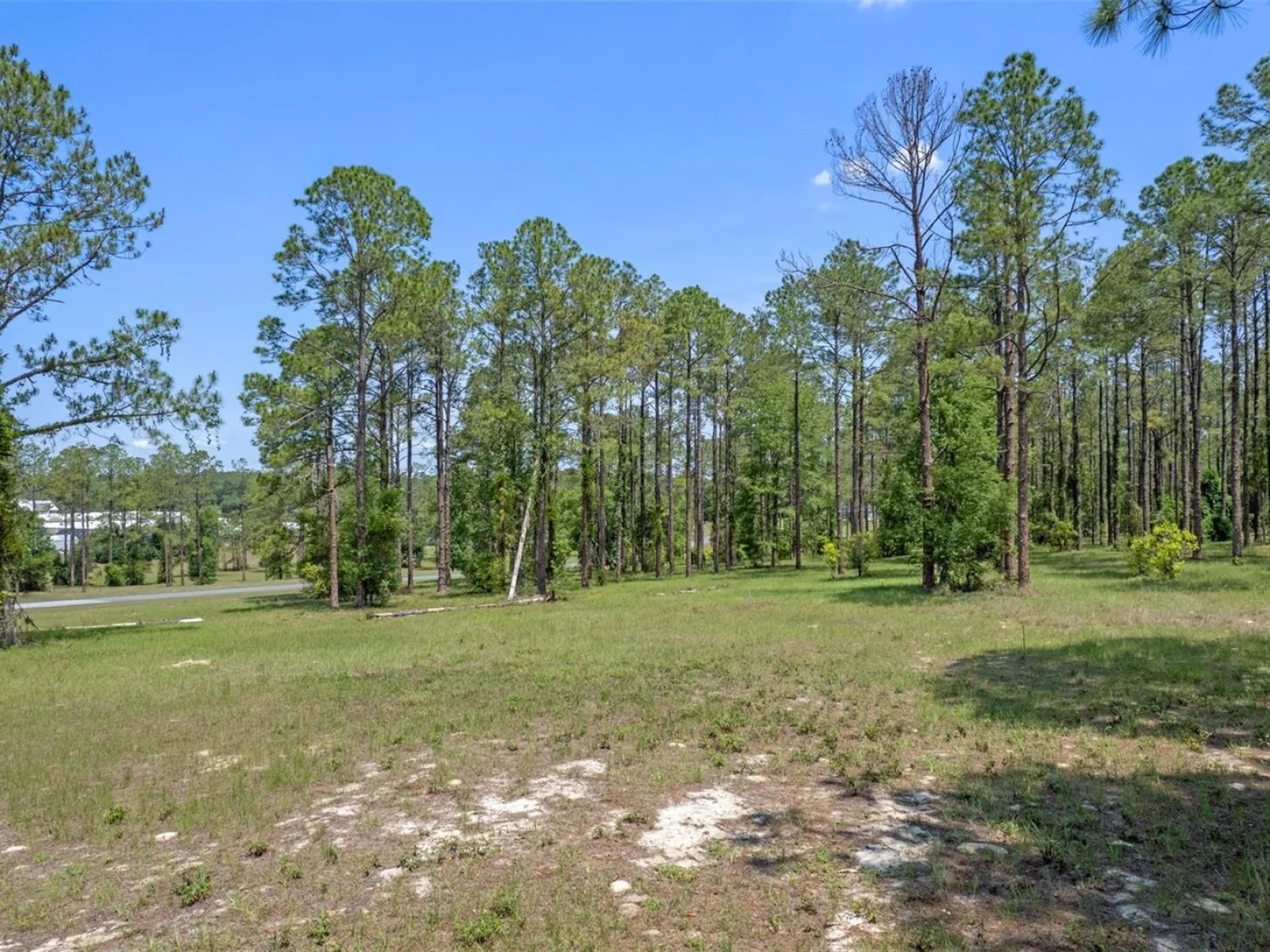 35408 PINEGATE TRL, EUSTIS, FL — photo 4