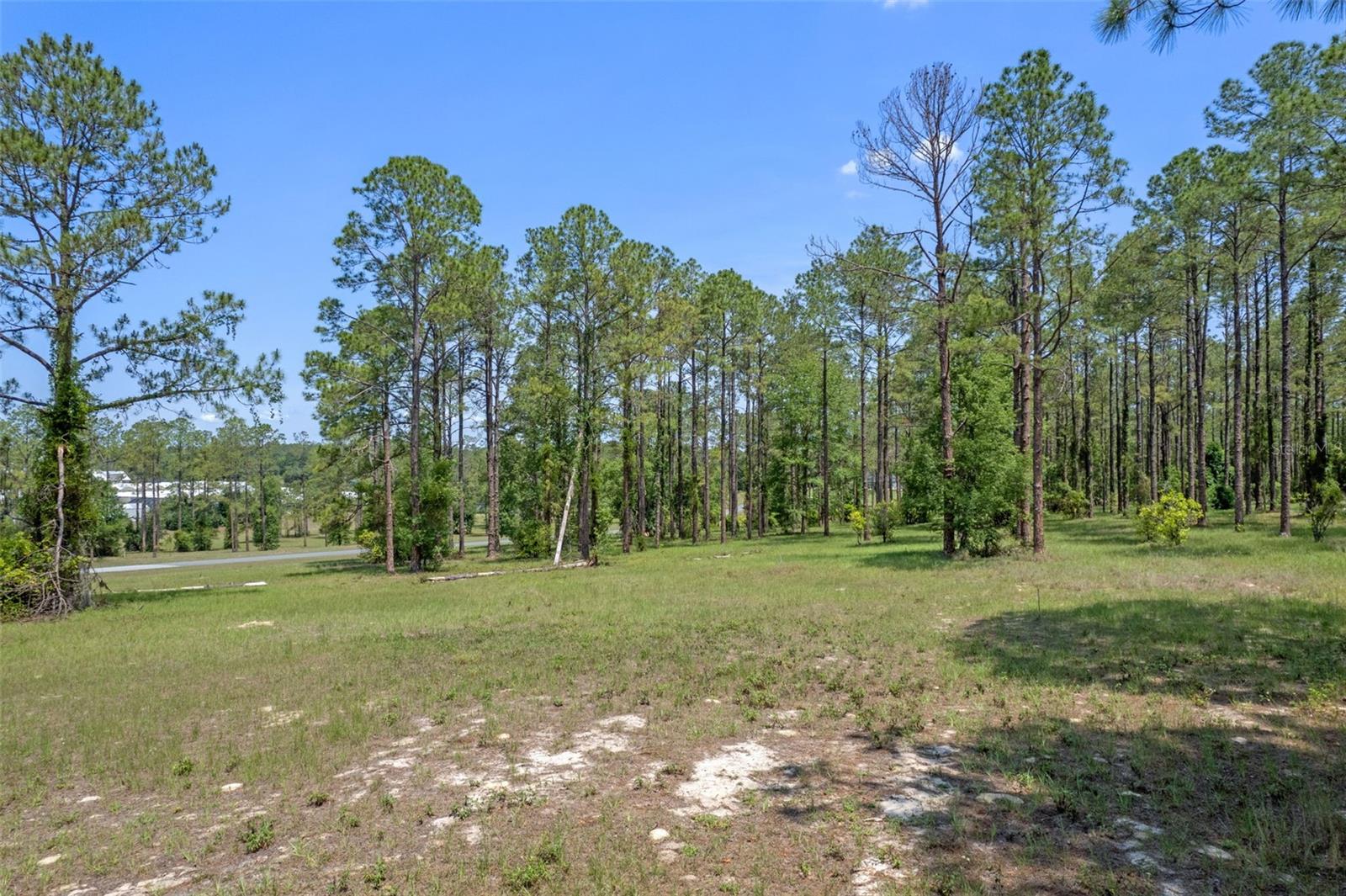 35408 PINEGATE TRL, EUSTIS, FL — photo 3