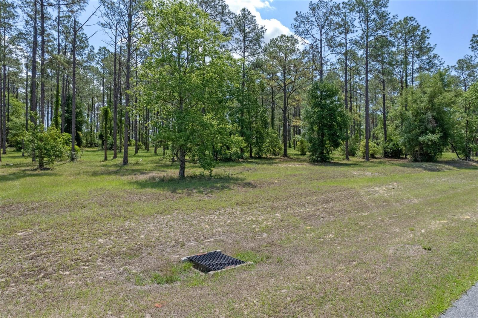 35408 PINEGATE TRL, EUSTIS, FL — photo 5