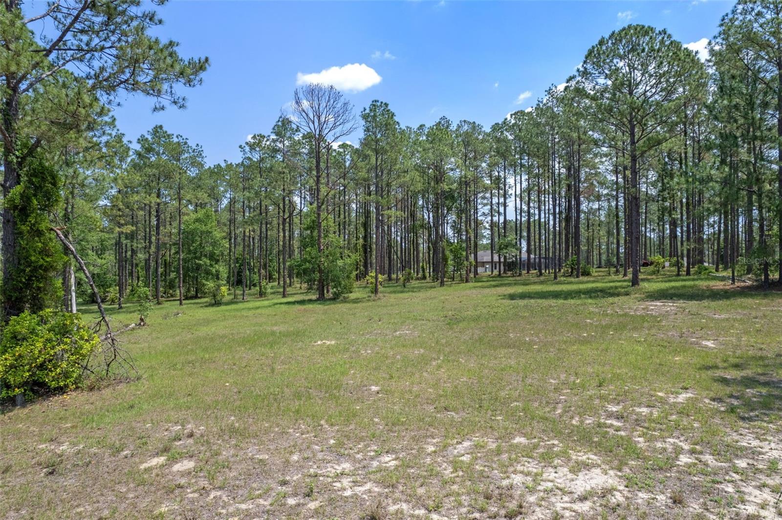 35408 PINEGATE TRL, EUSTIS, FL — photo 10