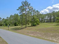 35408 PINEGATE TRL — photo 11