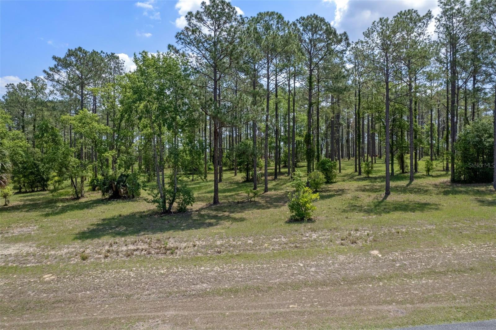 35408 PINEGATE TRL, EUSTIS, FL — photo 13