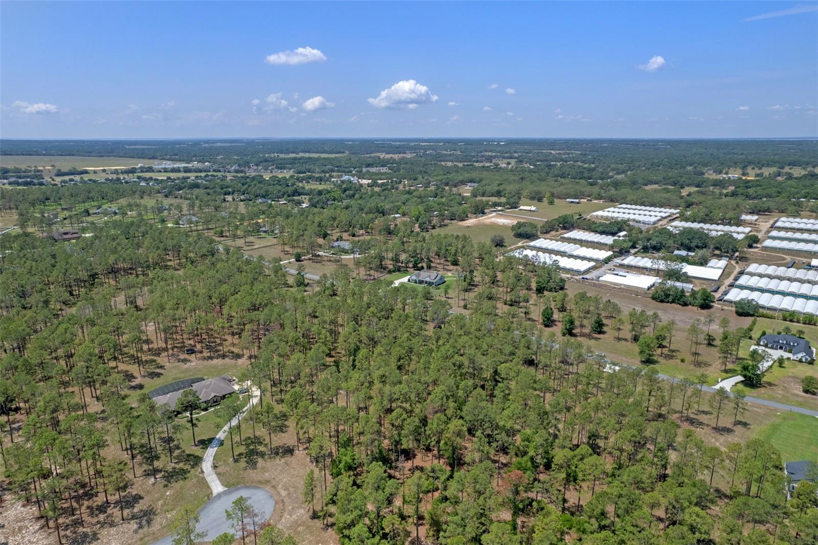 35408 PINEGATE TRL, EUSTIS, FL — photo 28
