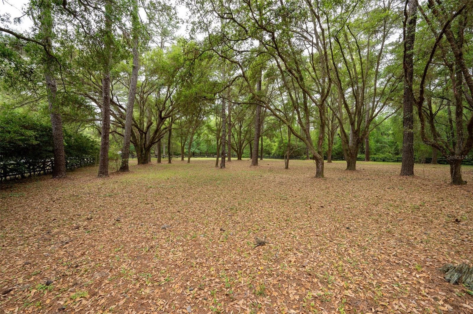 623 SW 93RD ST, GAINESVILLE, FL — photo 94