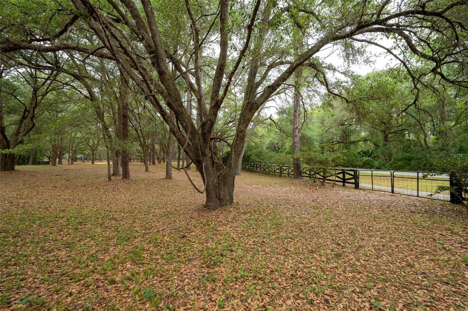 623 SW 93RD ST, GAINESVILLE, FL — photo 95
