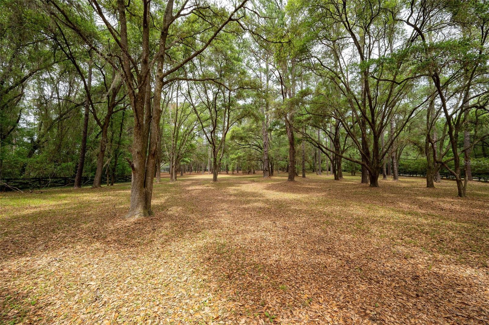 623 SW 93RD ST, GAINESVILLE, FL — photo 96