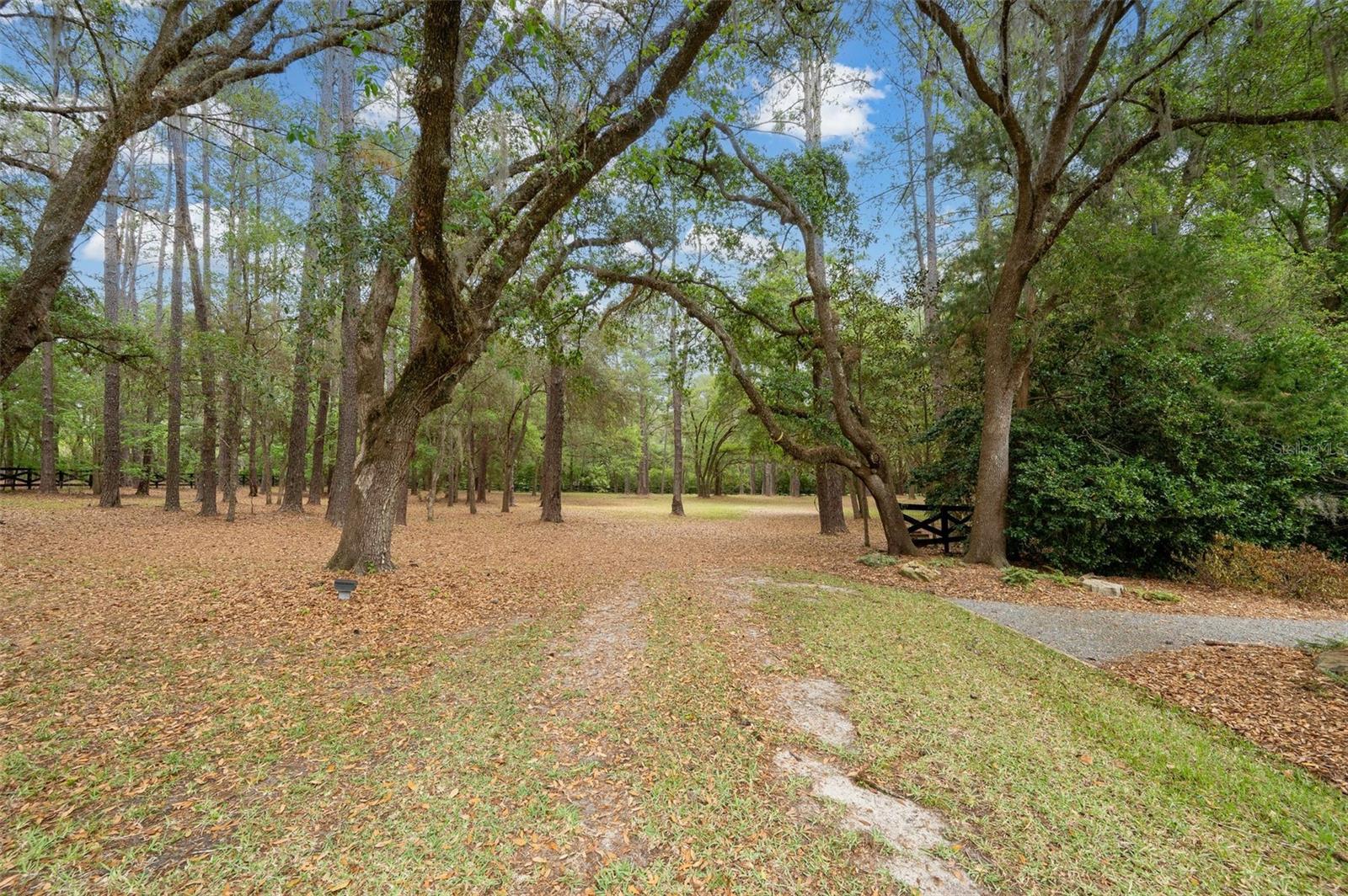 623 SW 93RD ST, GAINESVILLE, FL — photo 97