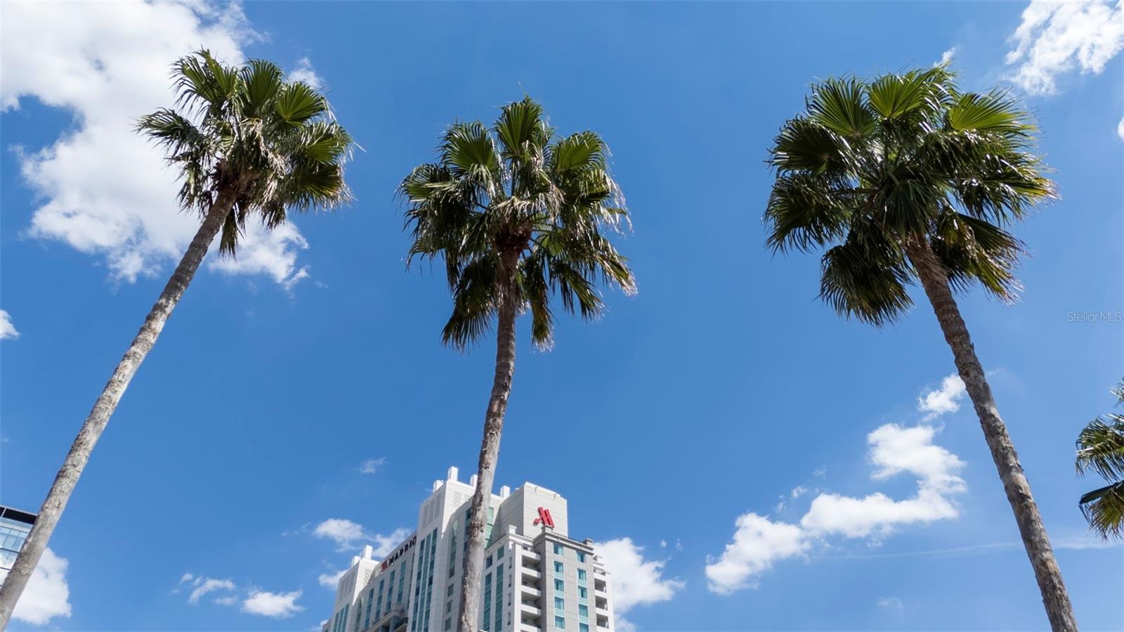 700 HARBOUR ISLAND #238, TAMPA, FL — photo 38