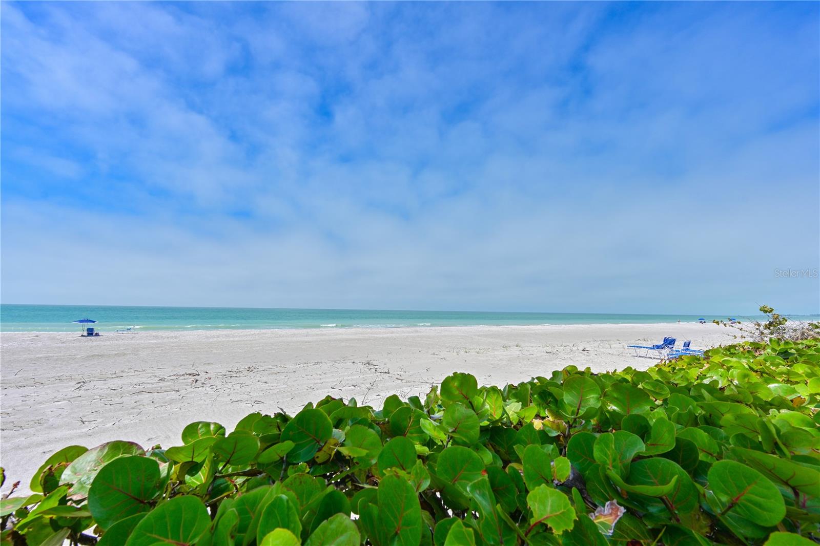 3806 GULF OF MEXICO DR #C211, LONGBOAT KEY, FL — photo 20