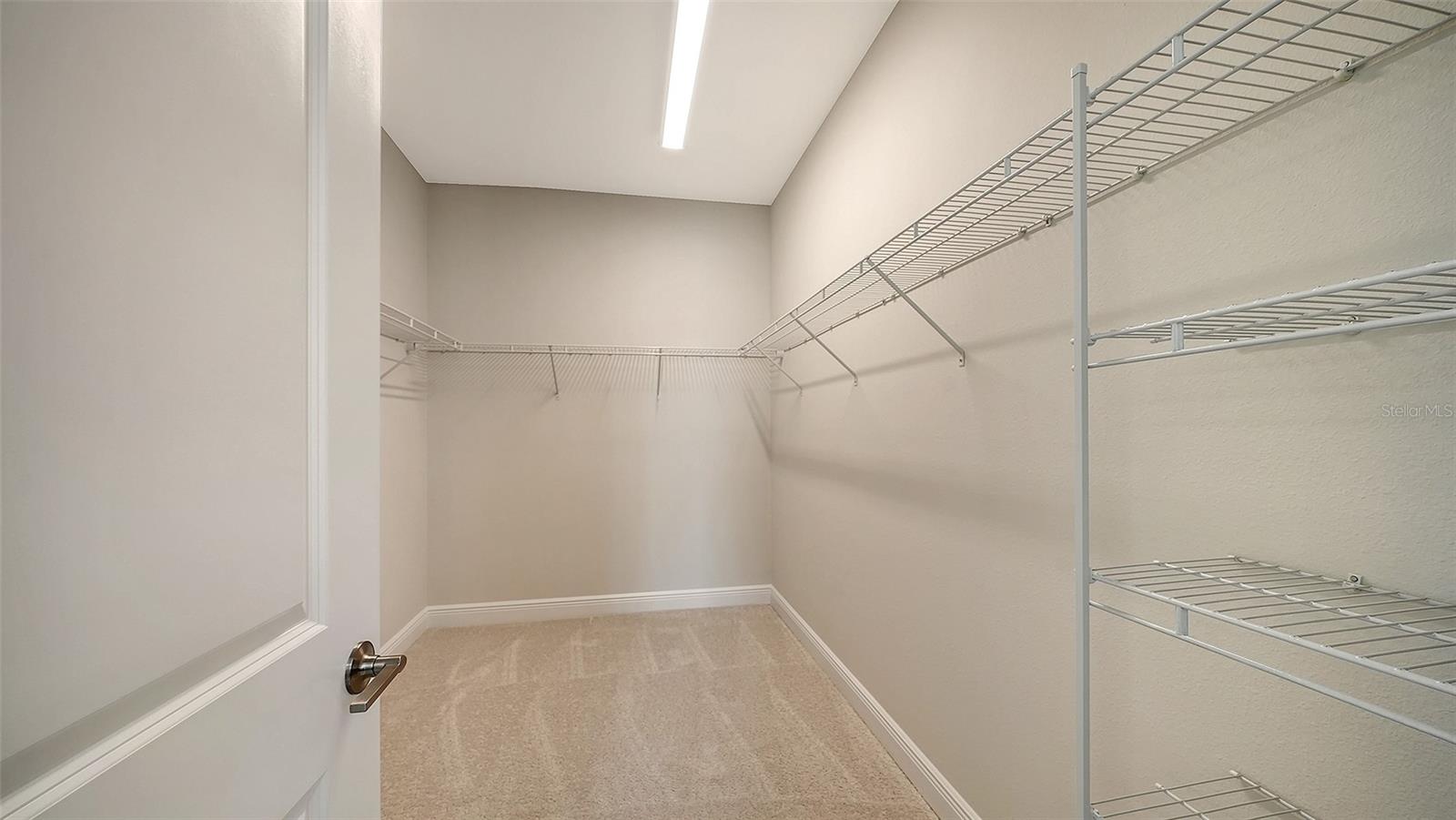 4411 SPOON BLADE DR, PARRISH, FL — photo 23