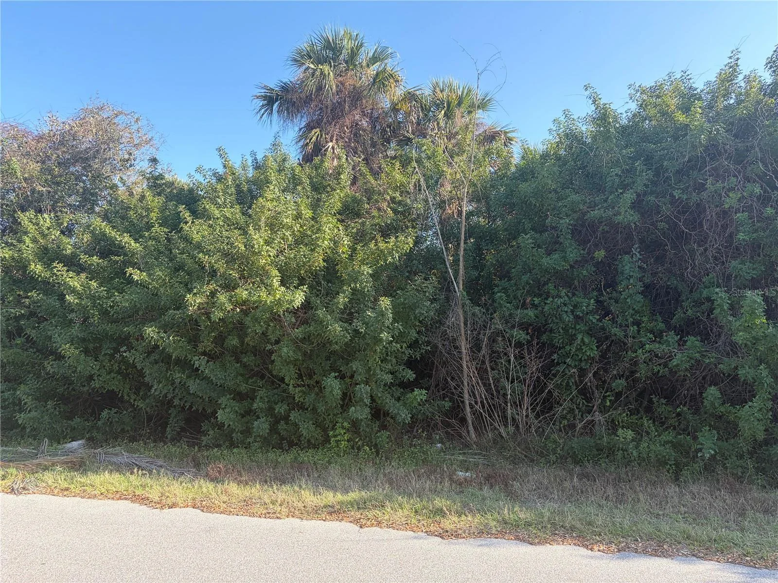 14499 RANSOM AVE, PORT CHARLOTTE, FL — photo 2