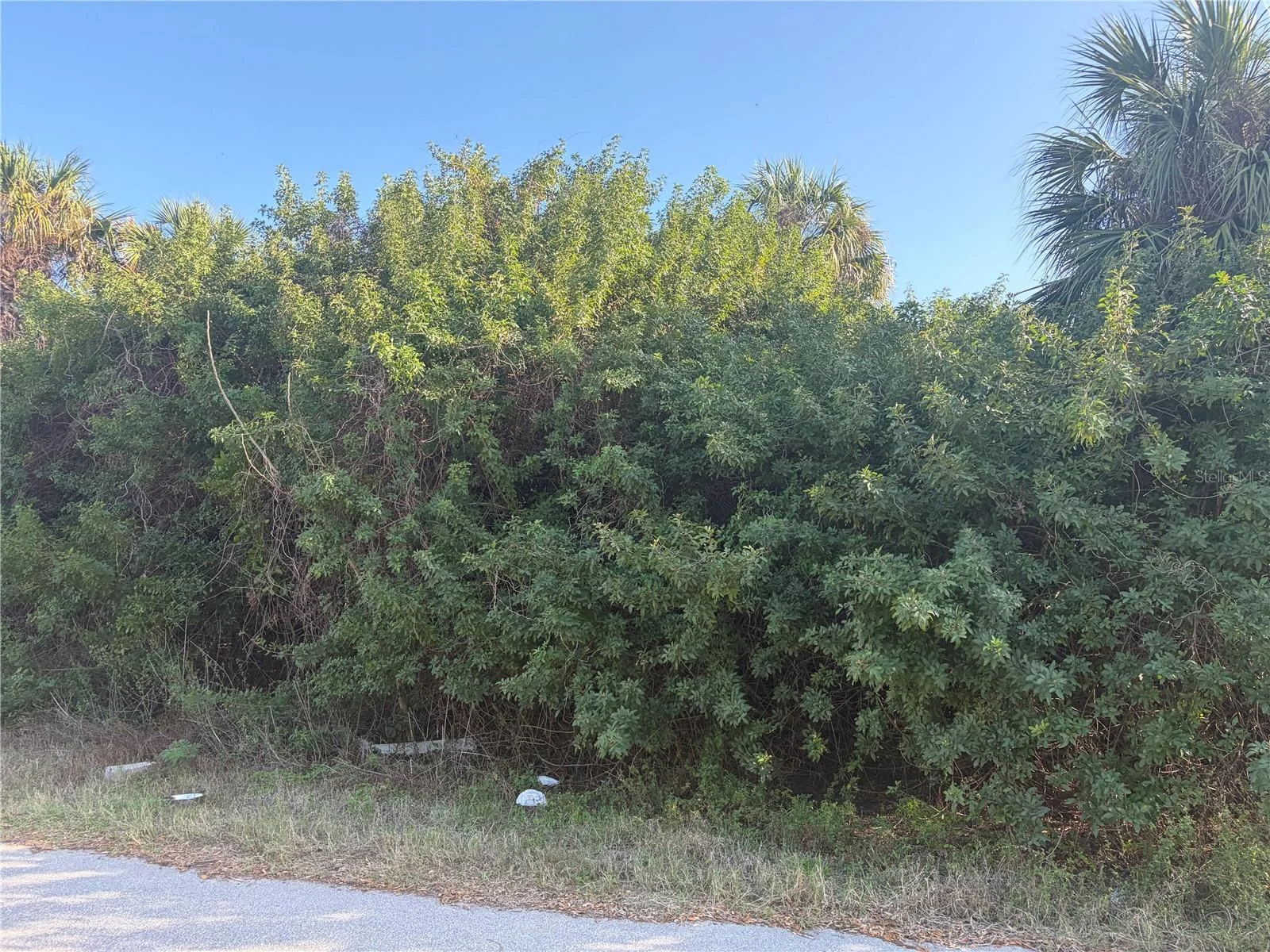14491 RANSOM AVE, PORT CHARLOTTE, FL — photo 2