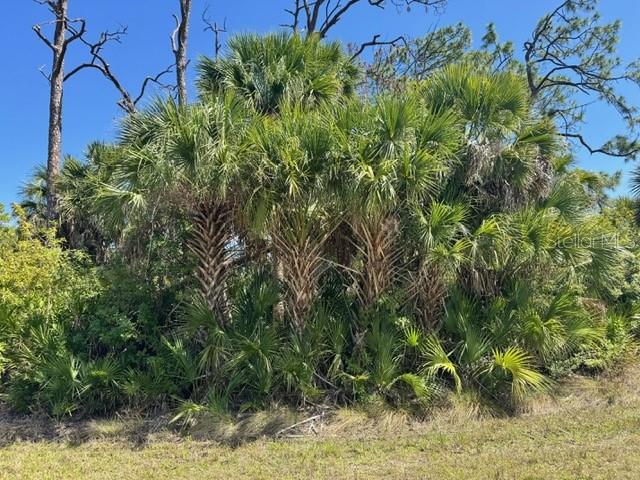 5102 HOPKINS AVE, PORT CHARLOTTE, FL — photo 3