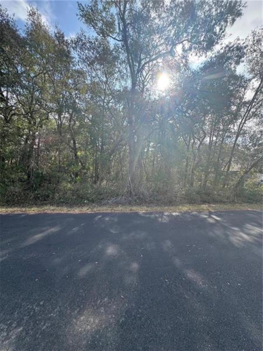 TBD LOCUST LOOP TER, OCALA, FL — photo 2