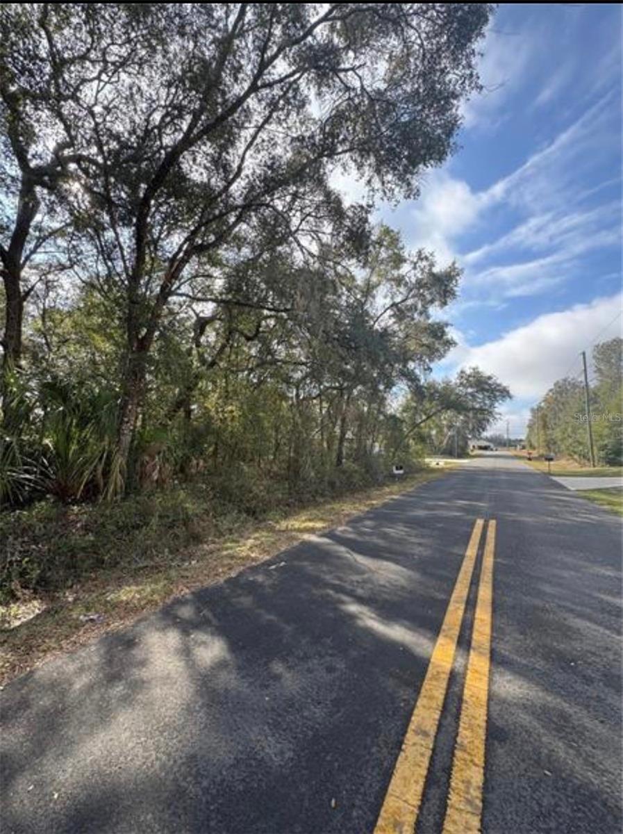 TBD LOCUST LOOP TER, OCALA, FL — photo 5