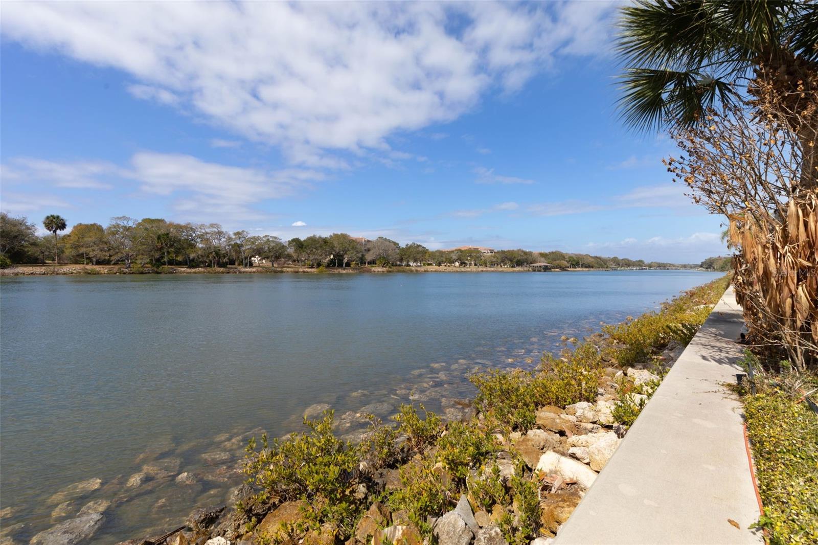 262 YACHT HARBOR DR, PALM COAST, FL — photo 26
