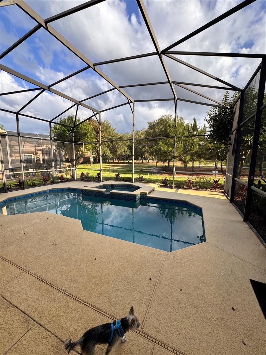 9512 SERRA CT, HOWEY IN THE HILLS, FL — photo 50