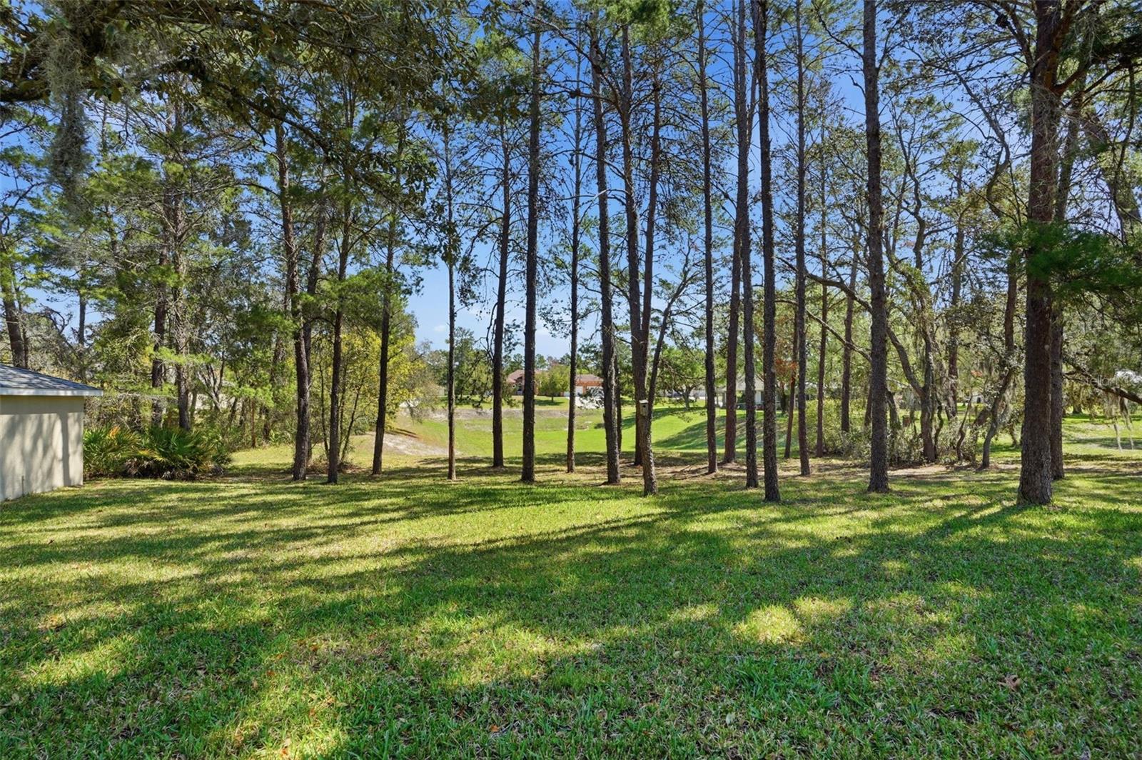 11033 BAYWIND CT, WEEKI WACHEE, FL — photo 59