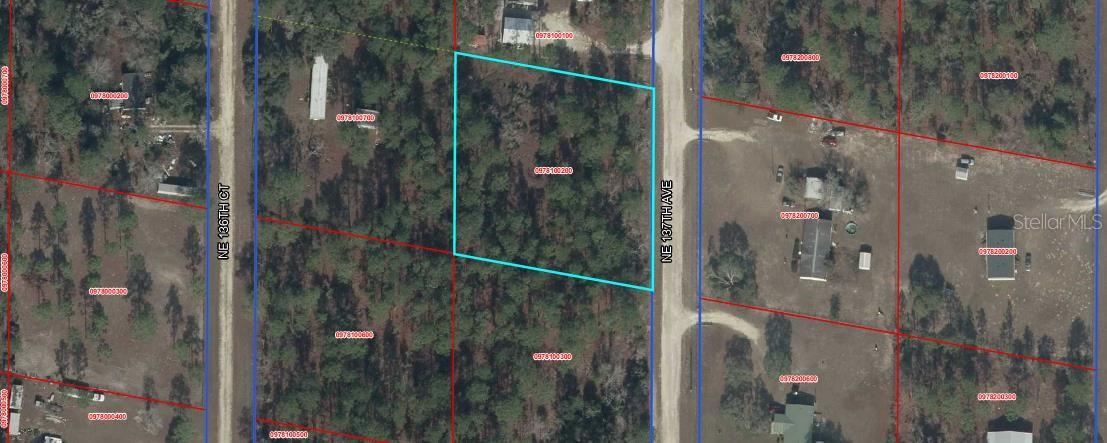 00 NE 137TH AVE, WILLISTON, FL — photo 11