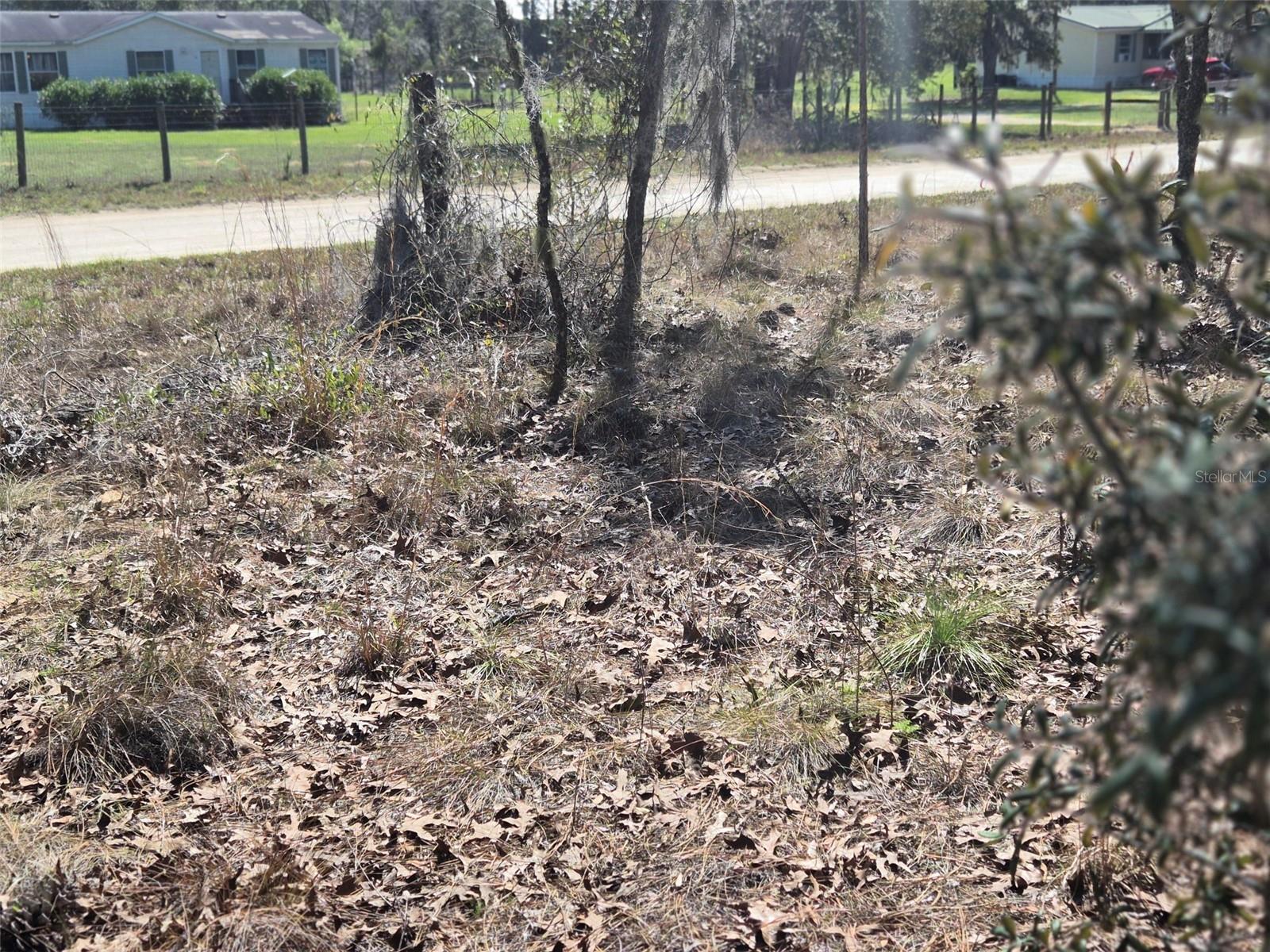 00 NE 137TH AVE, WILLISTON, FL — photo 8