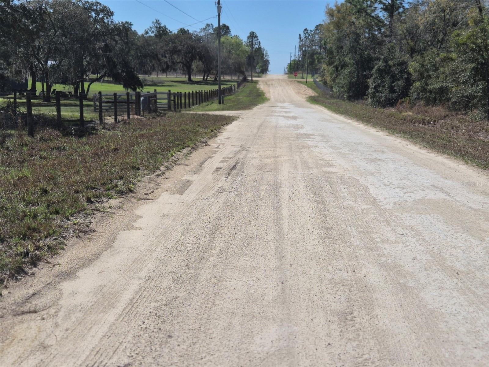 00 NE 137TH AVE, WILLISTON, FL — photo 9