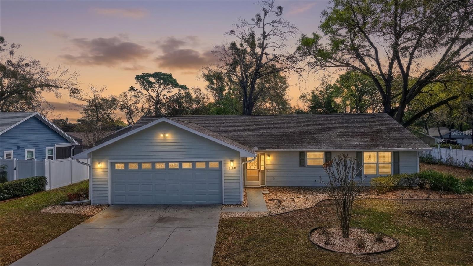 1120 GARDNER LN, MOUNT DORA, FL