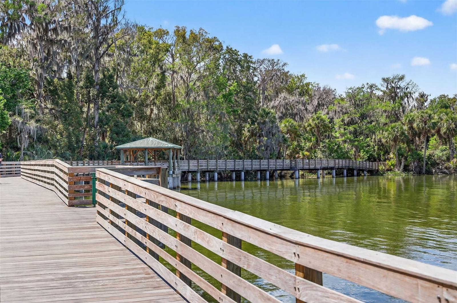 1120 GARDNER LN, MOUNT DORA, FL — photo 102