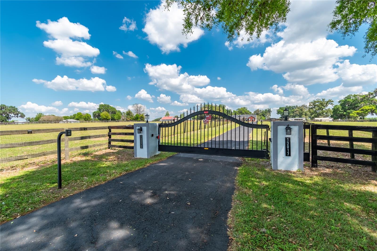13025 NW GAINESVILLE RD, REDDICK, FL — photo 2