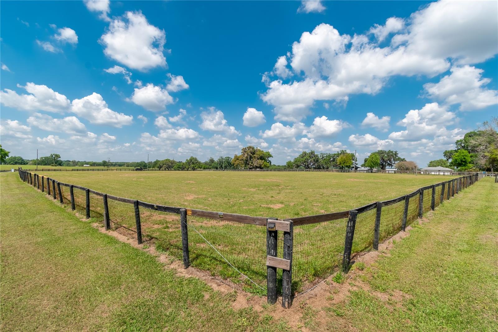 13025 NW GAINESVILLE RD, REDDICK, FL — photo 62