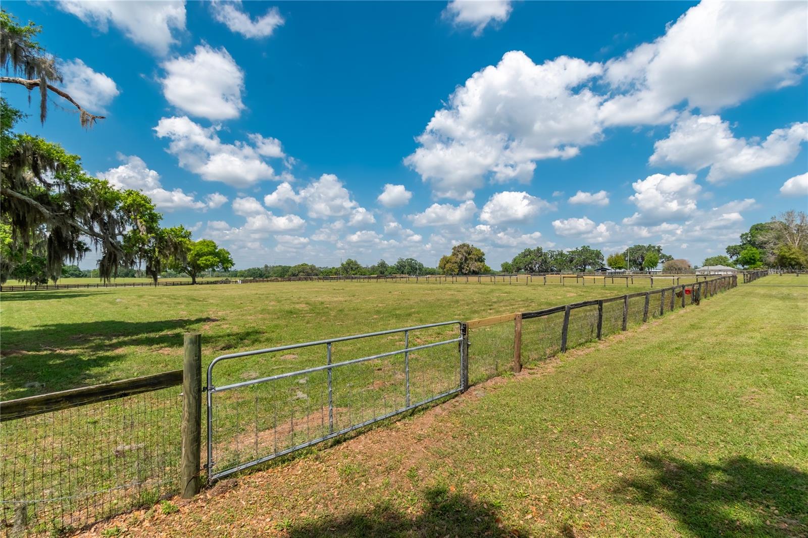 13025 NW GAINESVILLE RD, REDDICK, FL — photo 63