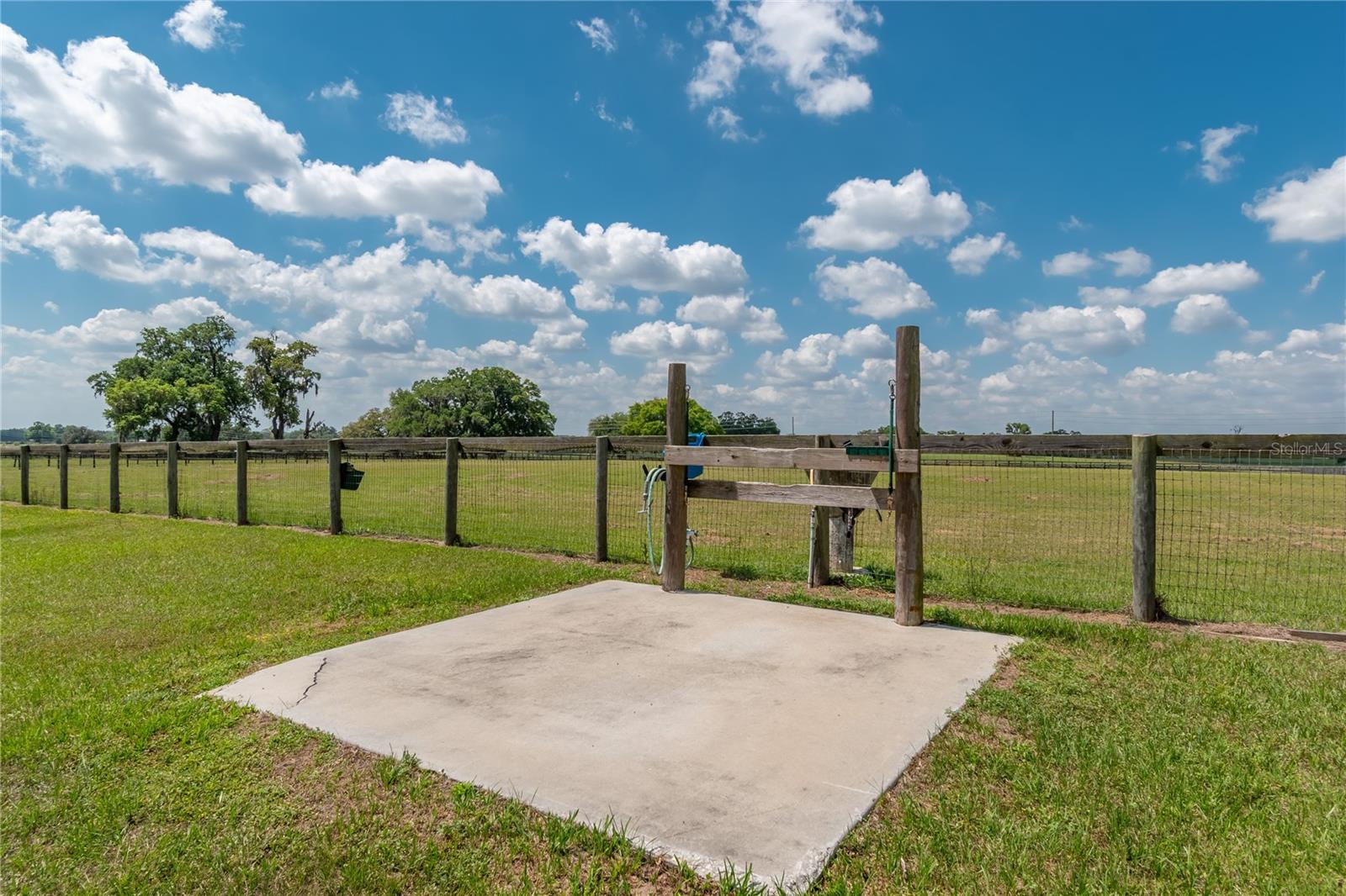 13025 NW GAINESVILLE RD, REDDICK, FL — photo 86
