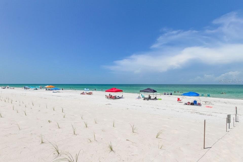 19816 GULF BLVD #201, INDIAN SHORES, FL — photo 51