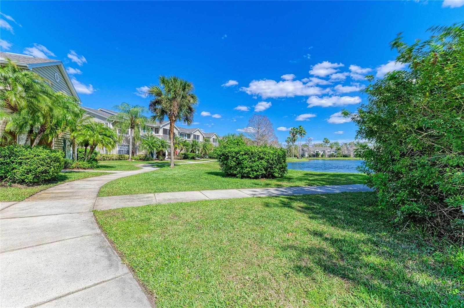 8911 MANOR LOOP #207, LAKEWOOD RANCH, FL — photo 51