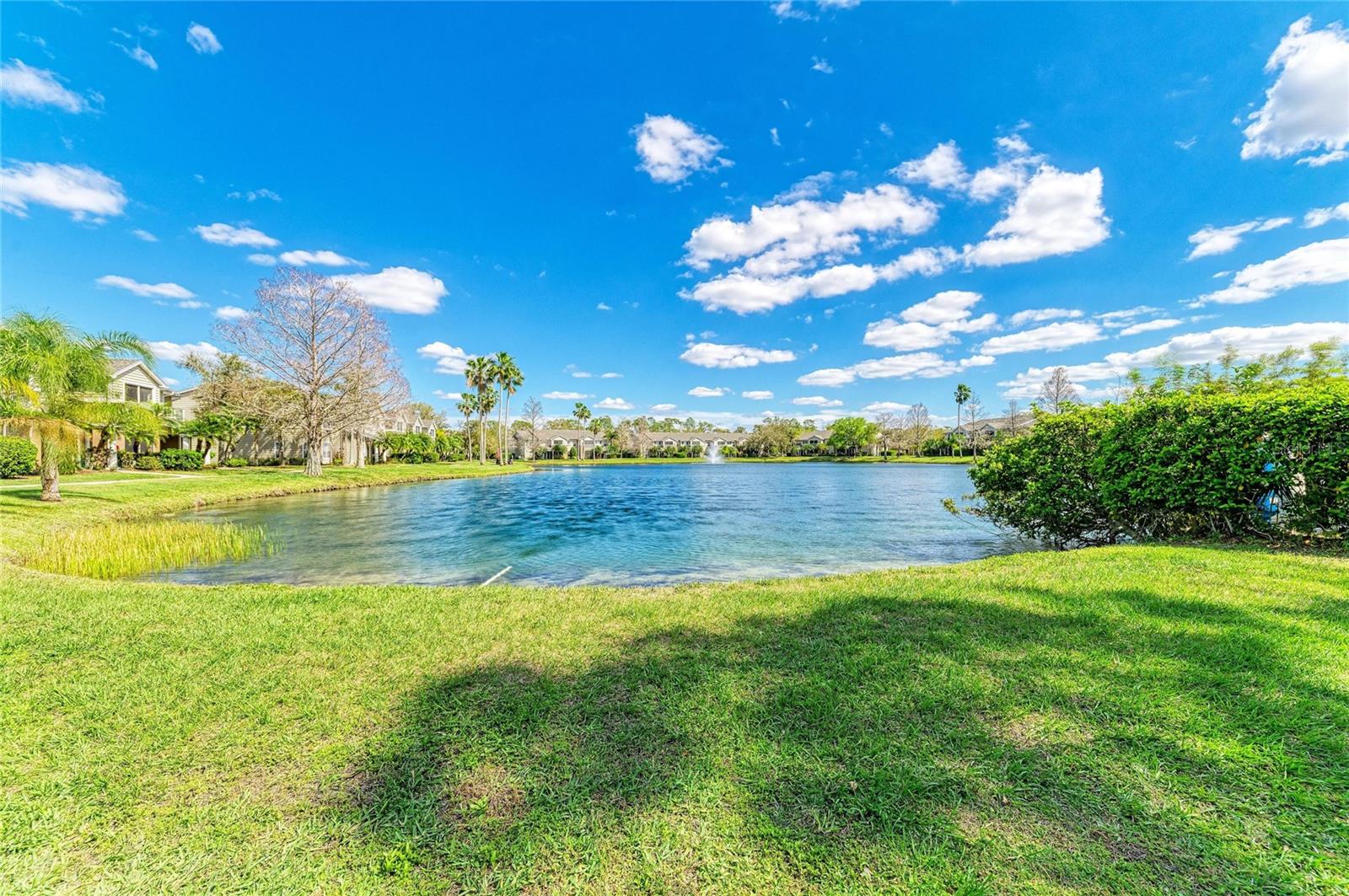 8911 MANOR LOOP #207, LAKEWOOD RANCH, FL — photo 52