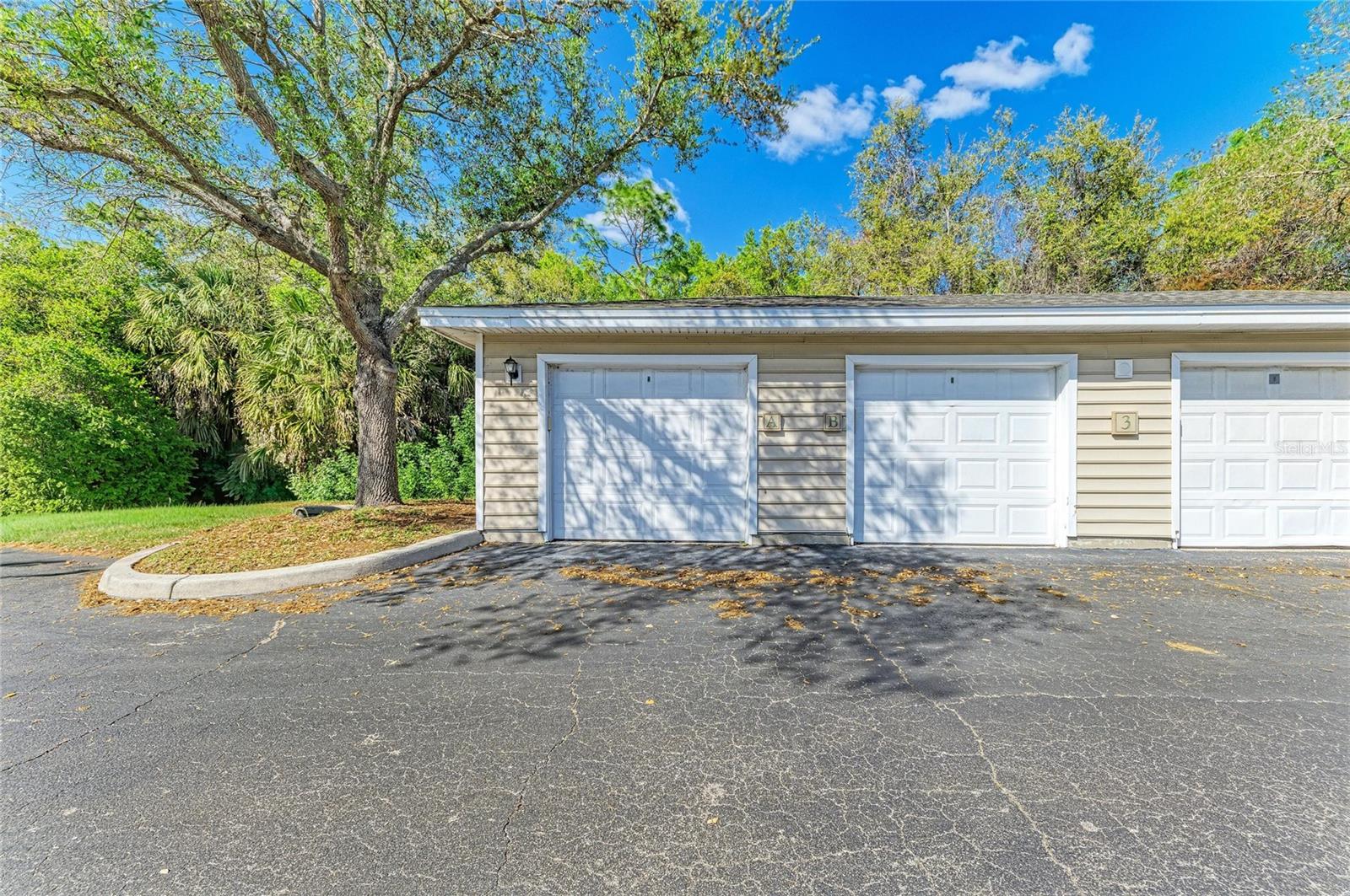 8911 MANOR LOOP #207, LAKEWOOD RANCH, FL — photo 53