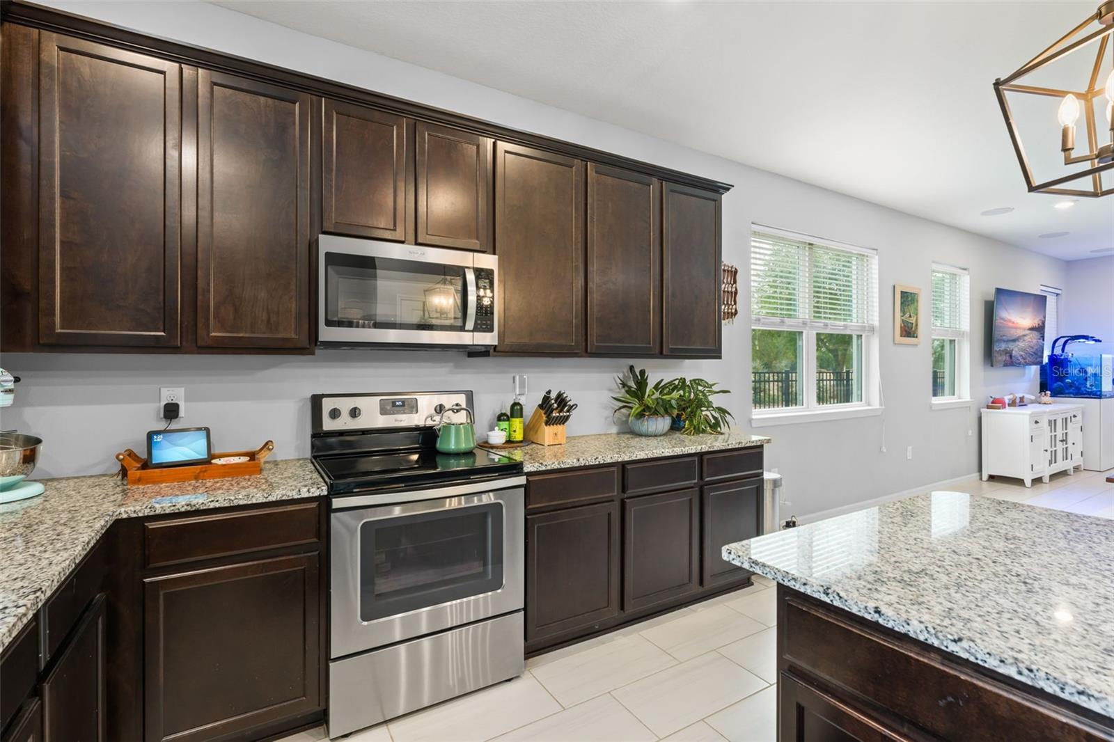 13755 BRAVANTE ALY, WINDERMERE, FL — photo 14