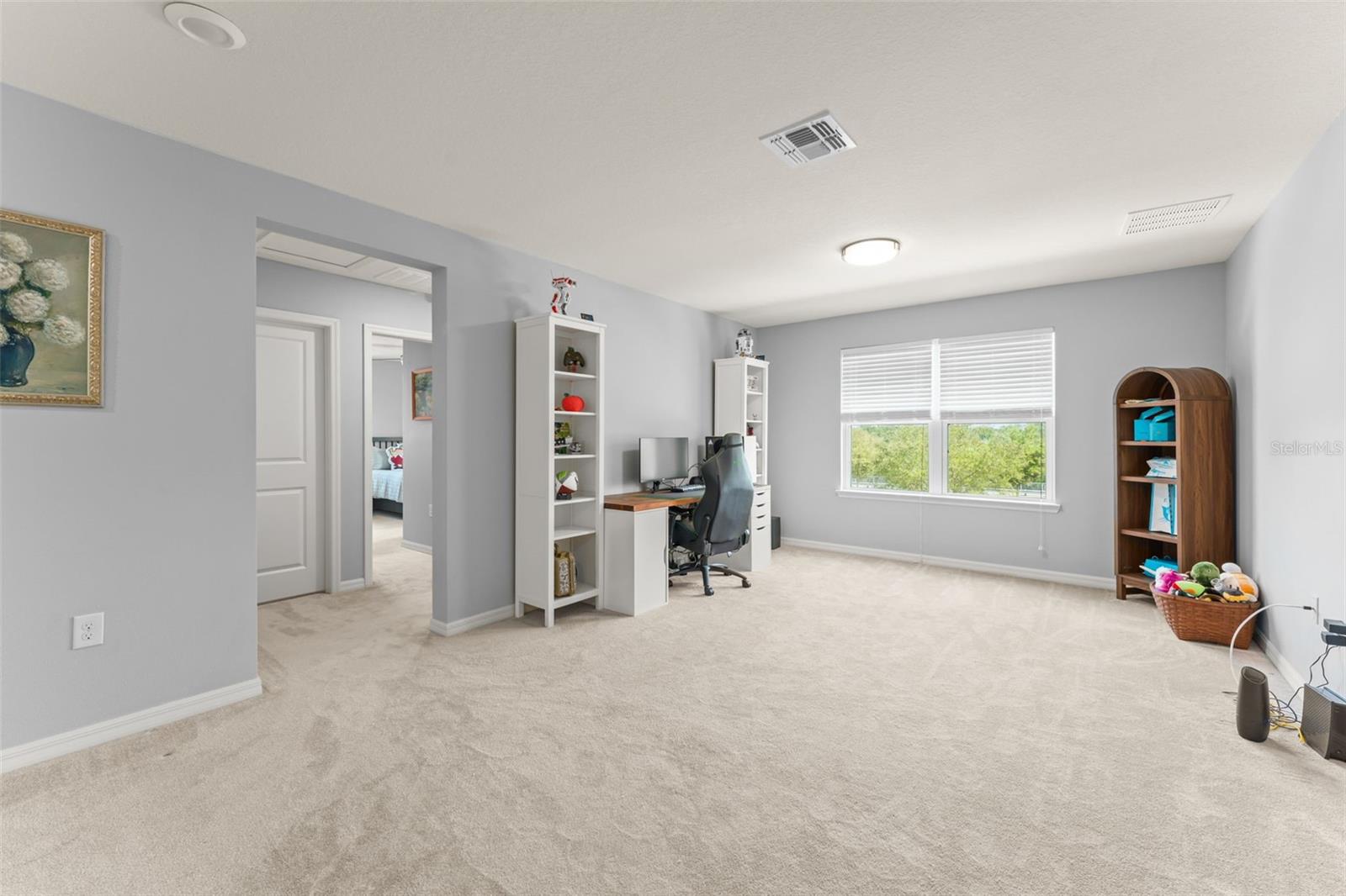 13755 BRAVANTE ALY, WINDERMERE, FL — photo 17