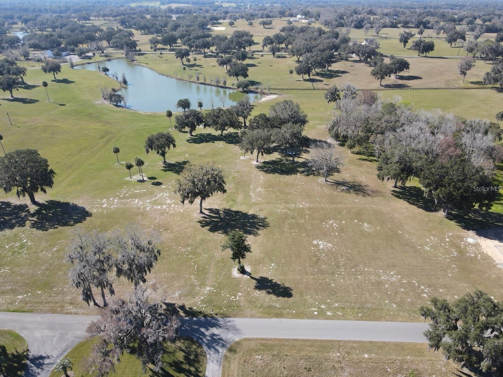 SE 57TH TER #18, SUMMERFIELD, FL — photo 11