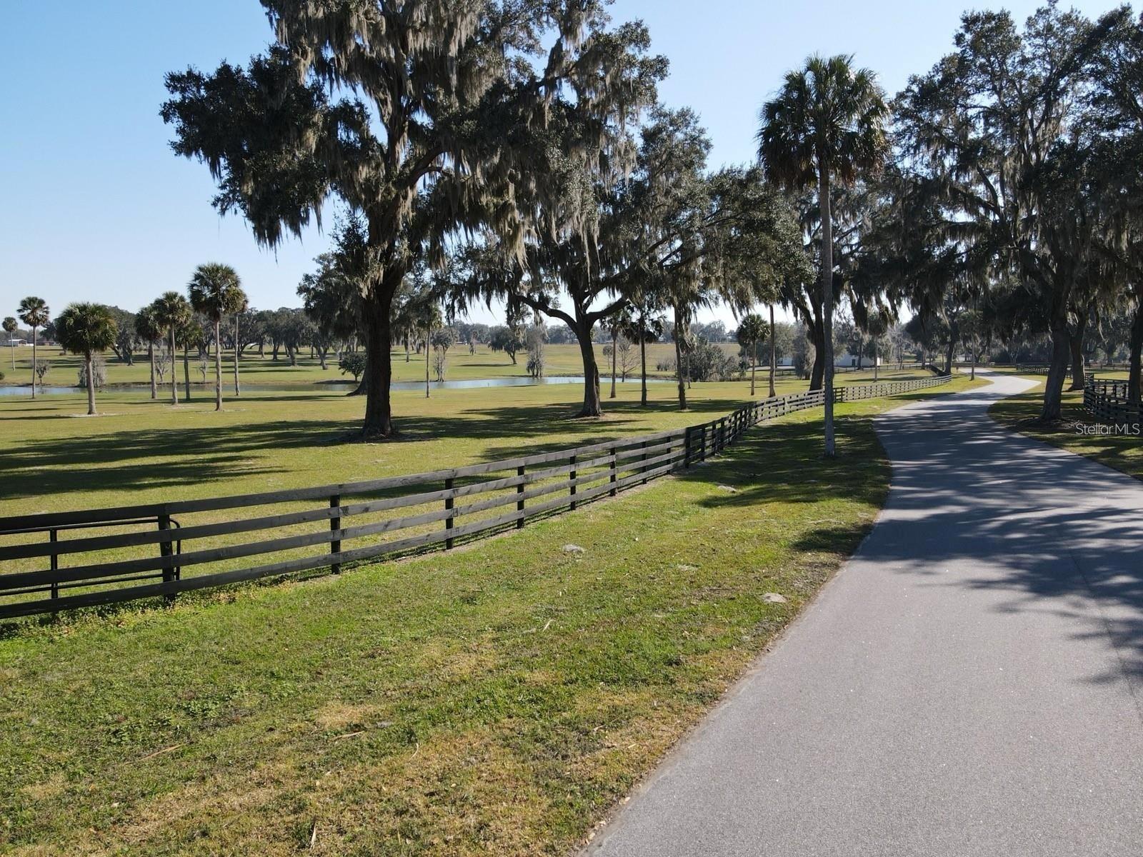 SE 57TH TER #18, SUMMERFIELD, FL — photo 15