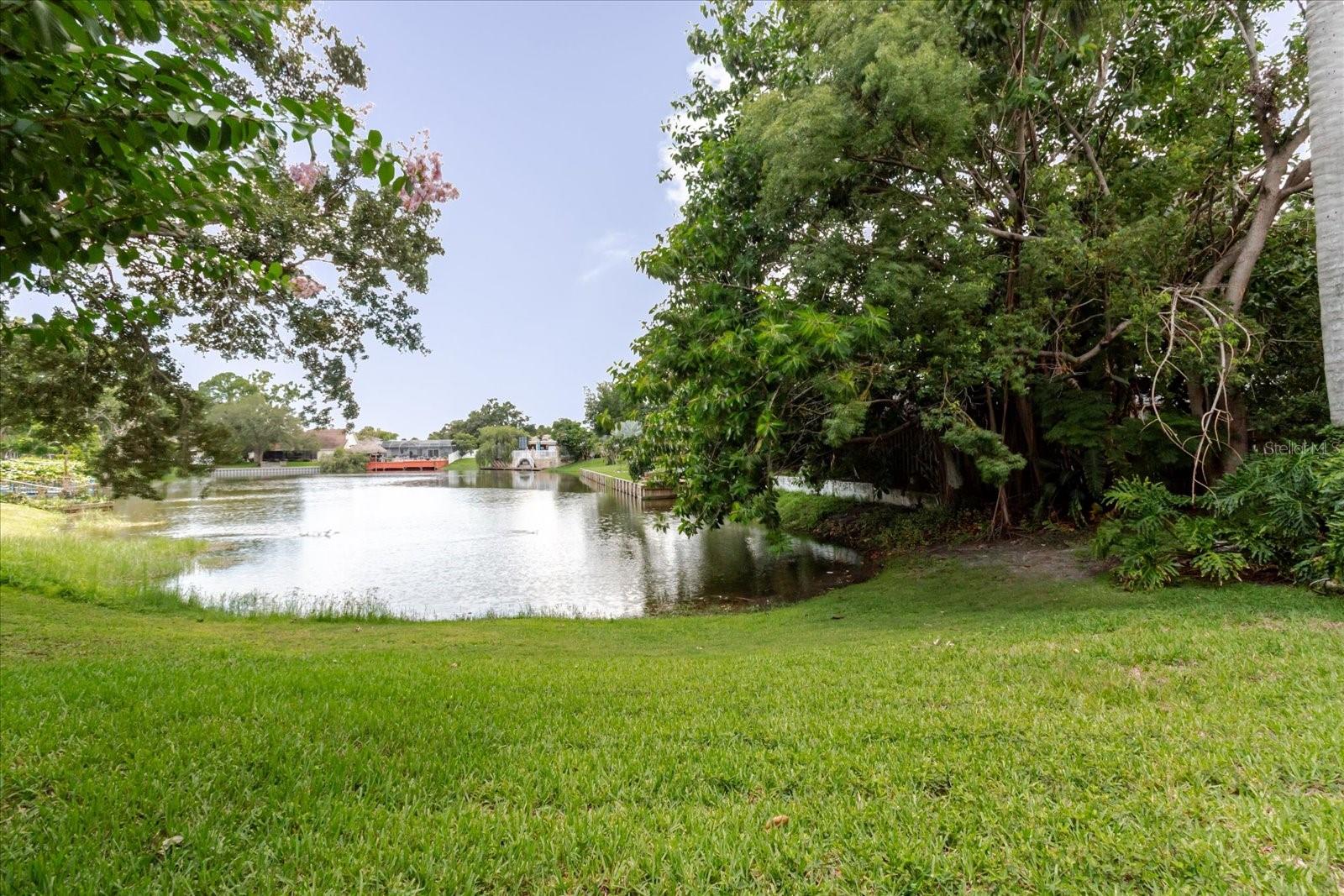 8222 LA SERENA DR, TAMPA, FL — photo 81