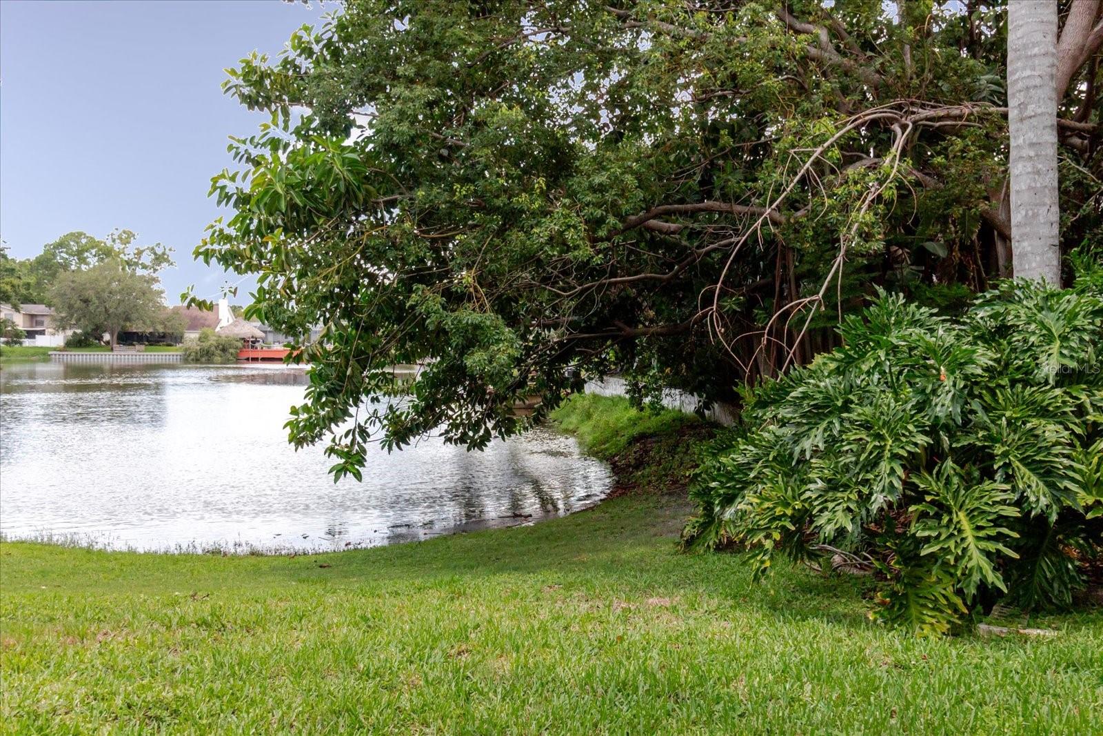8222 LA SERENA DR, TAMPA, FL — photo 82