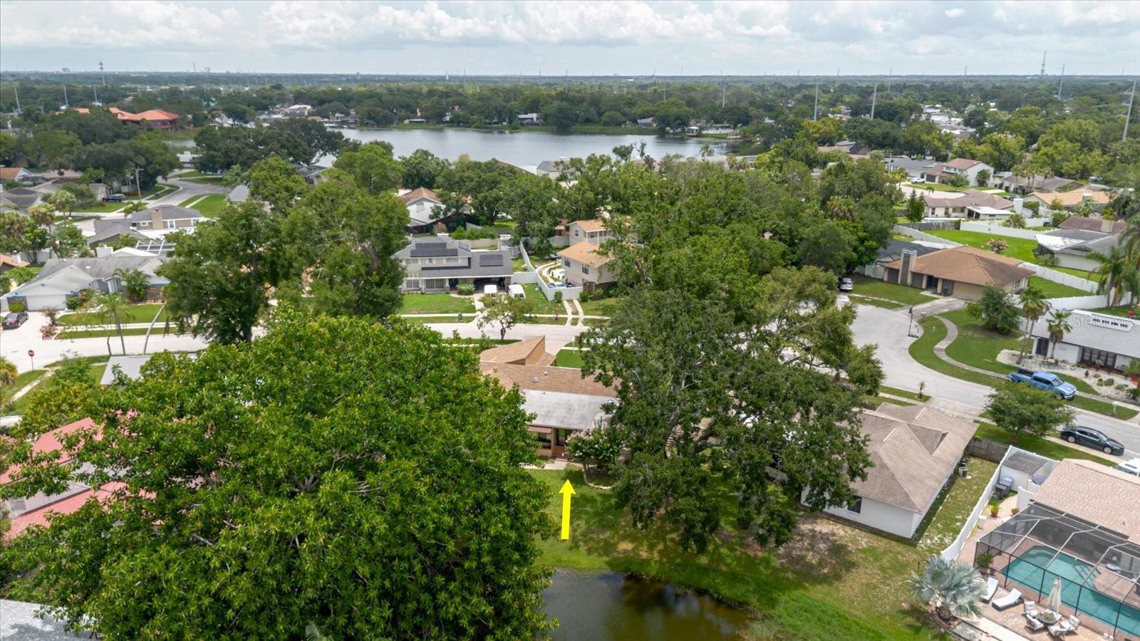 8222 LA SERENA DR, TAMPA, FL — photo 85
