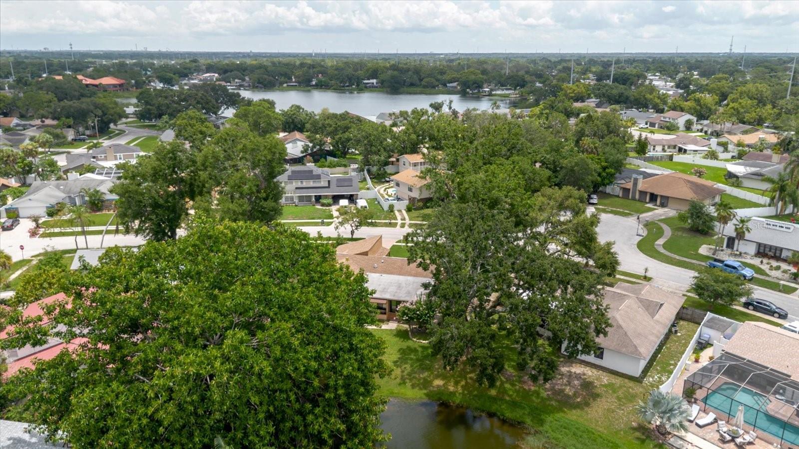 8222 LA SERENA DR, TAMPA, FL — photo 86
